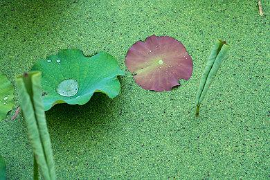 Xbox：《High On Life》是2022年XGP首发最成功游戏